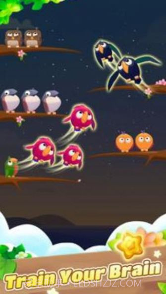 彩色鸟排序截图1 彩色鸟排序截图1