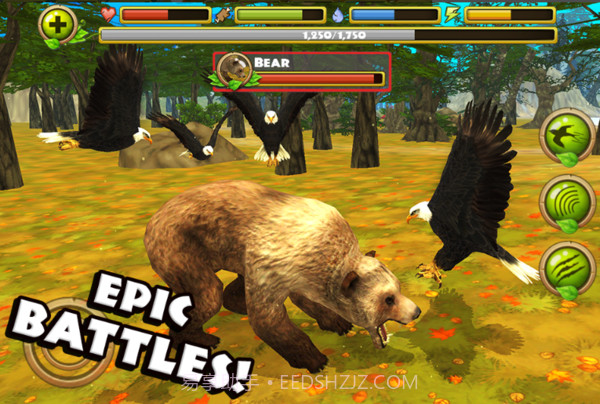 老鹰模拟器2截图2