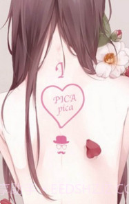 PicACGv4.1.19截图3