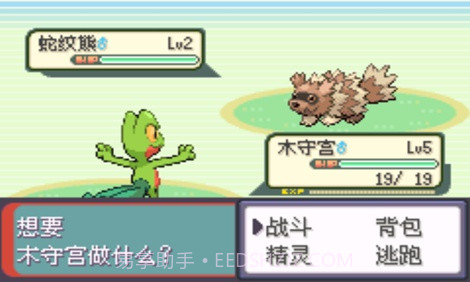 口袋妖怪：超级绿宝石8.0（悟饭）截图3