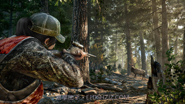 孤岛惊魂5截图4 孤岛惊魂5截图4