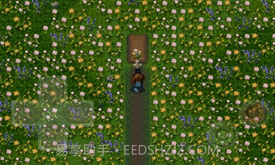 丧尸危机2:自由之翼截图4 丧尸危机2:自由之翼截图4