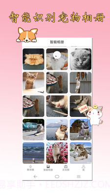 猫语狗语翻译器截图2 猫语狗语翻译器截图2