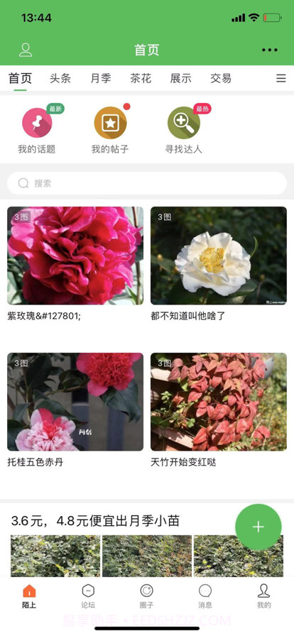 陌上截图2 陌上截图2