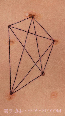 盛开之歌(Song of Bloom)截图2 盛开之歌(Song of Bloom)截图2