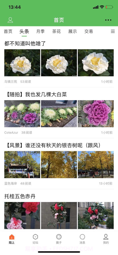 陌上截图1 陌上截图1