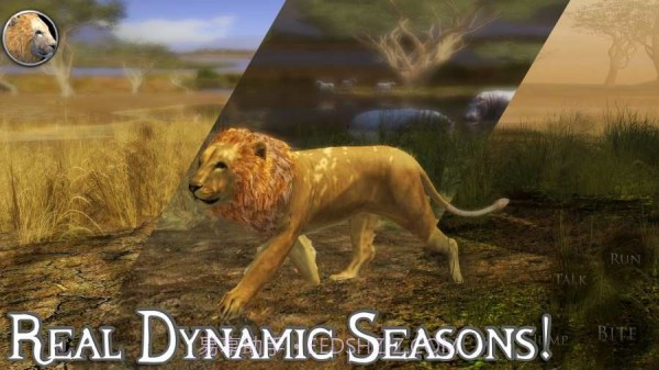 终极狮子模拟器2截图4 终极狮子模拟器2截图4