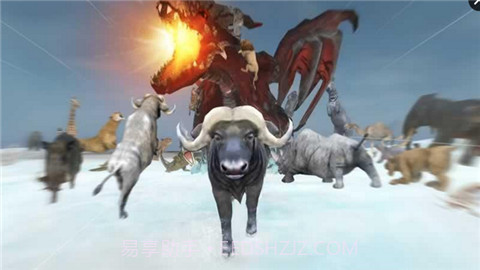 野生动物Online截图3