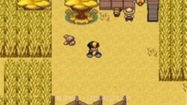 口袋妖怪九重天内置菜单汉化版截图3 口袋妖怪九重天内置菜单汉化版截图3