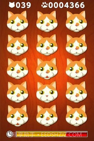 猫猫找茬截图2 猫猫找茬截图2