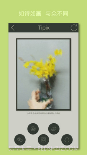 Tipix截图5