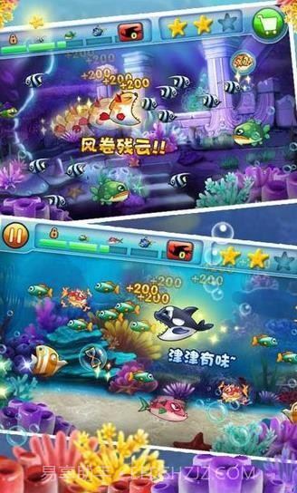 大鱼吃小鱼2中文版截图2 大鱼吃小鱼2中文版截图2