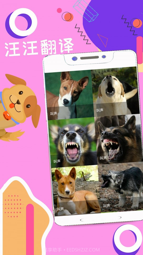 人狗猫猪翻译器截图2 人狗猫猪翻译器截图2