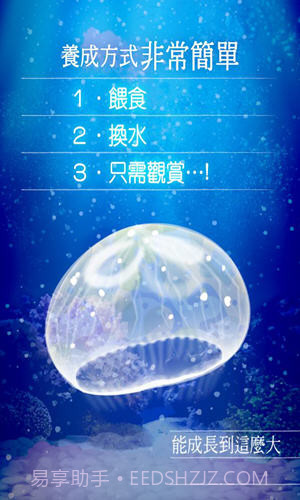 海蜇养成截图3 海蜇养成截图3