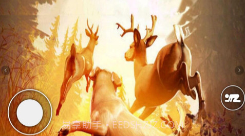 恐怖森林猎人截图3 恐怖森林猎人截图3