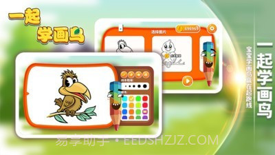 一起学画鸟截图4