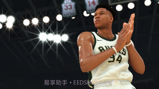 NBA 2K13截图3