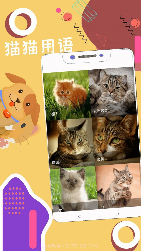 人狗猫猪翻译器截图3 人狗猫猪翻译器截图3