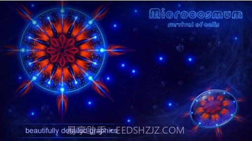 细菌进化模拟器截图3