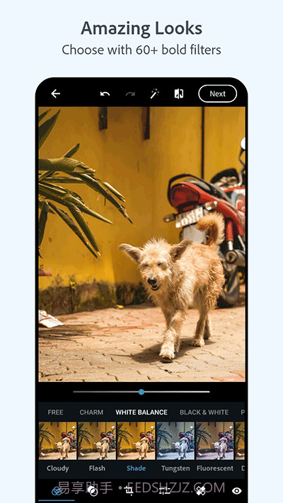 ps Camera截图2 ps Camera截图2