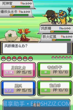 口袋妖怪血风录截图1