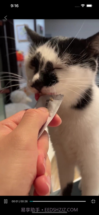 观影见闻录截图3 观影见闻录截图3