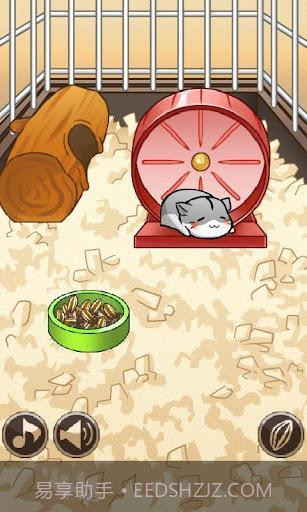小仓鼠的快乐生活截图1