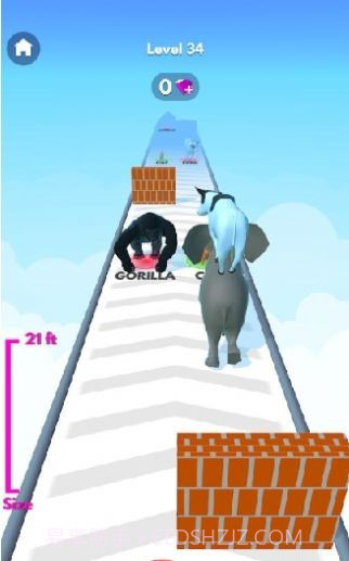 动物栈跑截图1 动物栈跑截图1