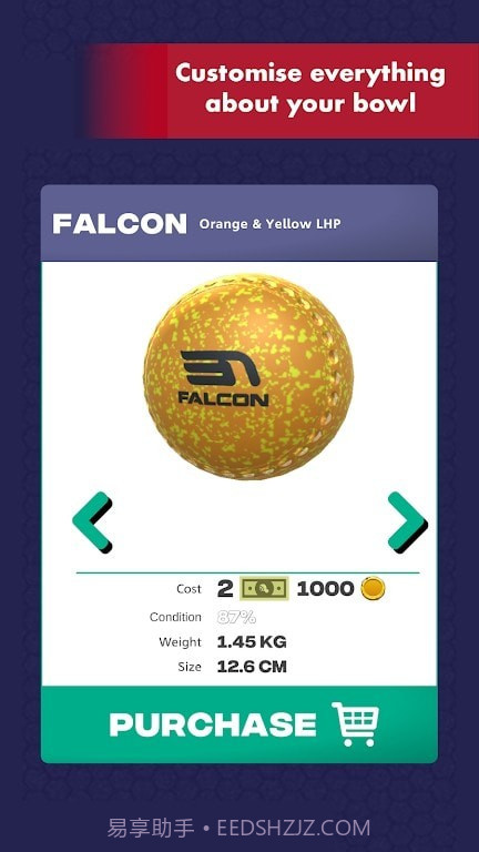 虚拟室内球截图1 虚拟室内球截图1