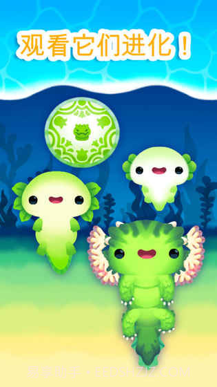 Axolochi 萌宠蝾螈v2.3截图1 Axolochi 萌宠蝾螈v2.3截图1