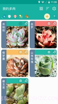 多肉成长记截图1 多肉成长记截图1