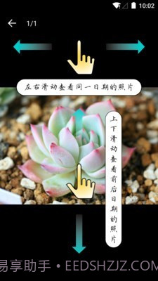 多肉成长记截图4 多肉成长记截图4