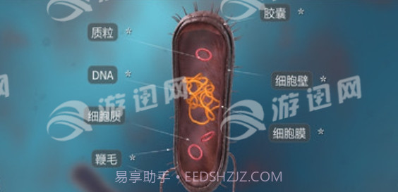 细菌互动教育官网版截图1