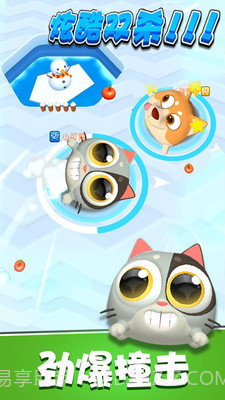 暴走碰碰球官网版截图4 暴走碰碰球官网版截图4