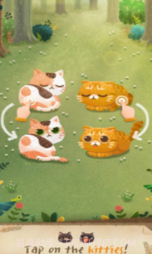 猫咪密林截图2