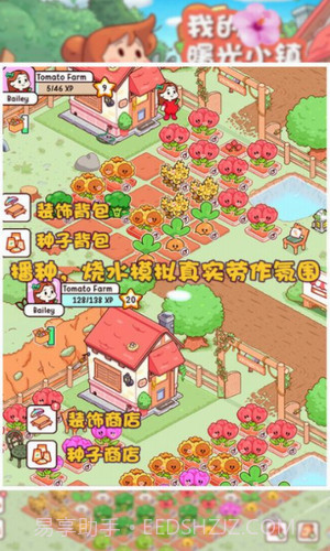 我的曙光小镇截图3