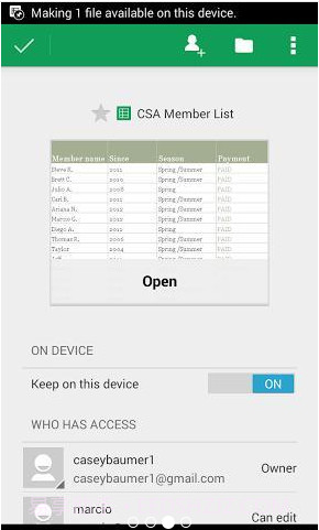 Google表格:Google Sheets截图3