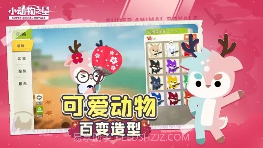 小动物之星b站截图4