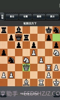 国际象棋下载截图1 国际象棋下载截图1