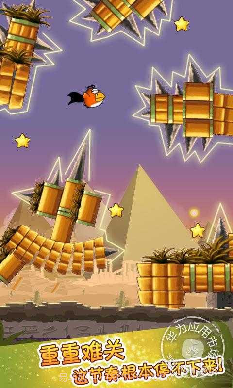 全民鸟游戏截图2
