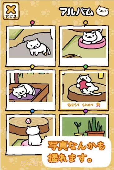 猫咪后院最新汉化版截图3