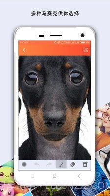 照片处理相机截图4