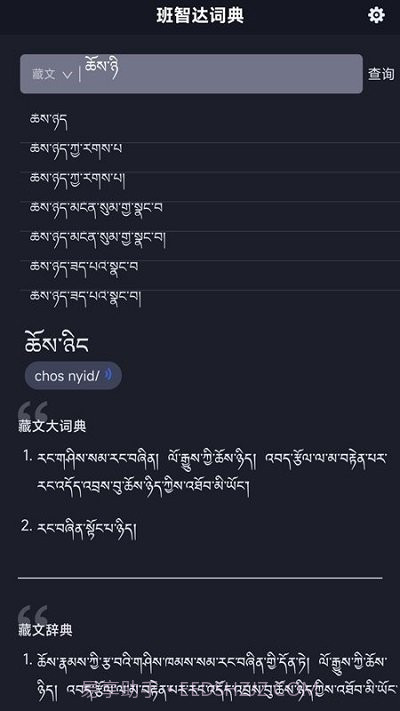 班智达词典截图4 班智达词典截图4
