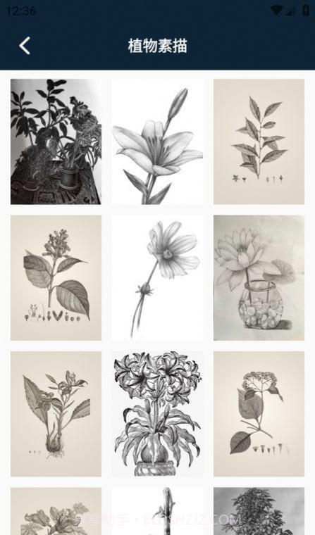 半岛应用平台截图4