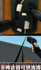 生存射击小队 v2.7截图1