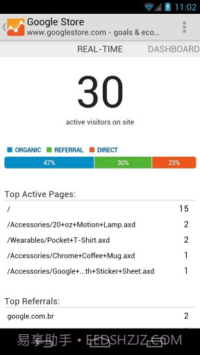 Google网站分析截图2
