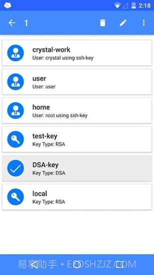 Server Auditor截图2