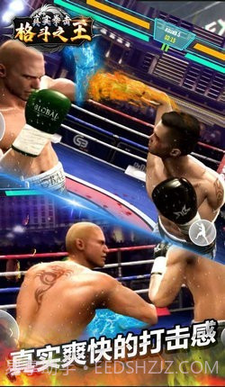 真实拳击格斗之王截图2 真实拳击格斗之王截图2