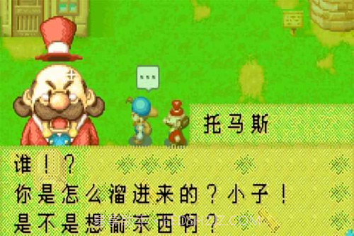 开罗牧场物语截图1