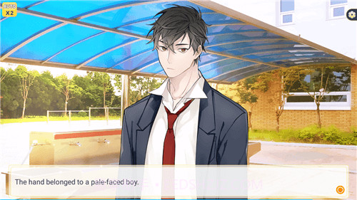 精神病表达爱意的方式截图1